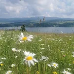 Wzgorze