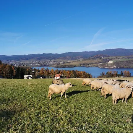 Wzgorze Homestay szállás