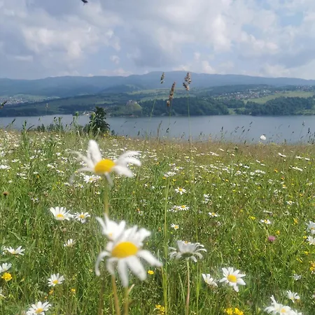 Wzgorze Relax & View