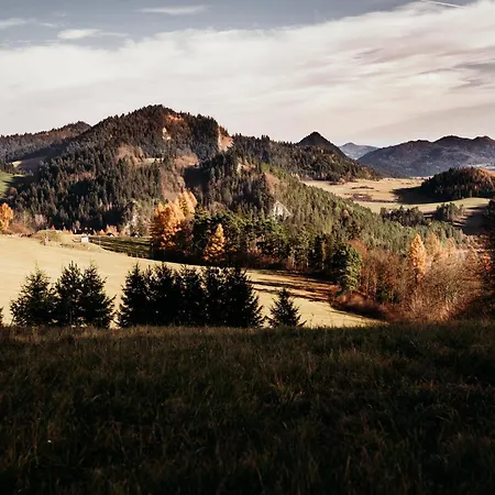 Homestay szállás Wzgorze Nedec